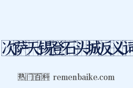 次萨天锡登石头城反义词是什么意思的图片